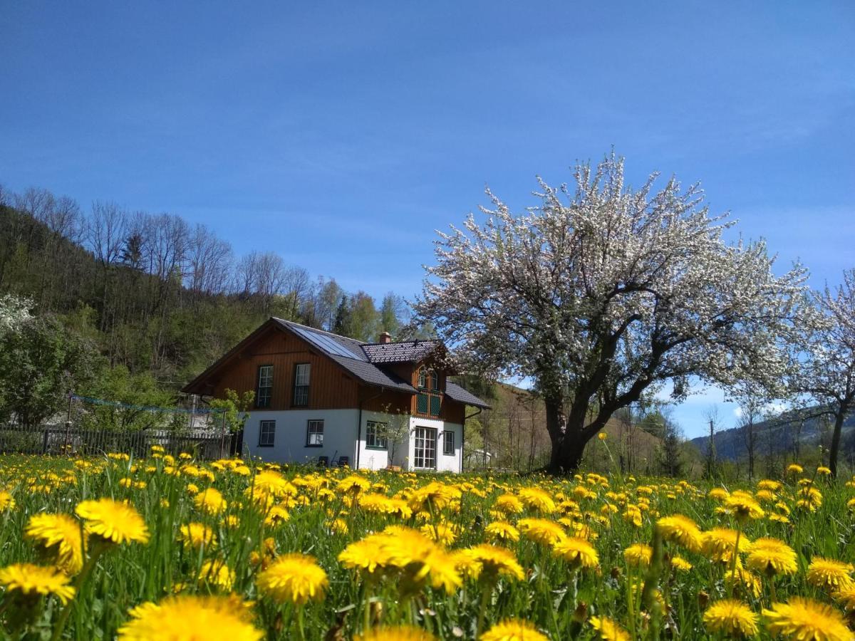 Gaestehaus Blonbauer Apartment Schladming Ngoại thất bức ảnh